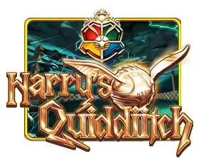 Harry's Quiddiitch
