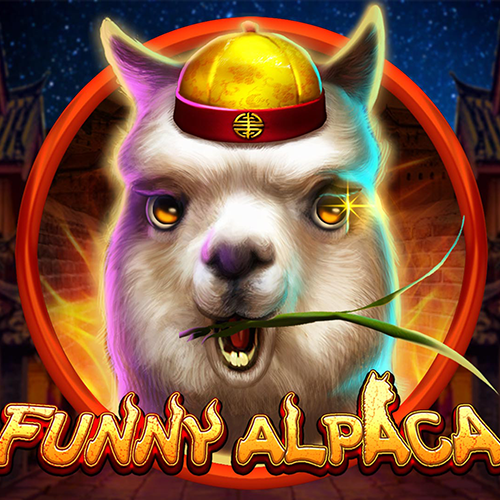 Funny Alpaca